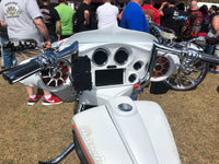 INSANE ASYLUM - INNER FAIRING - SGDD-IA