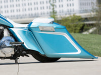 DIRTYBIRD CONCEPTS - REAR END SET - Harley Davidson Tail Dragger Ass End 10″ 2009 To 2022