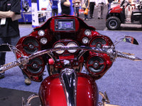 INSANE ASYLUM - INNER FAIRING - RGDD