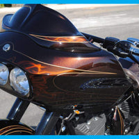 DIRTYBIRD CONCEPTS - WINDSHIELD - Harley Dirty Bastard Road Glide Windshield 1998 To 2013