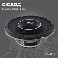 
              Cicada CH65.2v2 6.5″ COAX HORN – 2 OHM
            