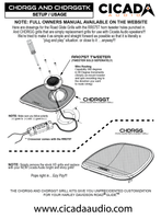 
              Cicada CHDRGGTK – 2014 + ROAD GLIDE GRILL W/ TWEETERS
            