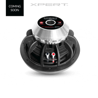 
              DB Drive Euphoria XPERT - EX10NMB-CFXL -10″ Neo Carbon Fiber Midbass
            