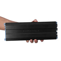 
              DB Drive Euphoria EXM2000.1 Amplifier
            