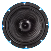 
              Galeforce Audio F1 8" Pair
            