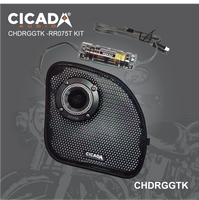 
              Cicada CHDRGGTK – 2014 + ROAD GLIDE GRILL W/ TWEETERS
            