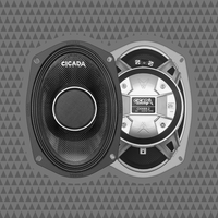 
              CICADA AUDIO CHX69 PRO COAXIAL SPEAKER 6X9" (2Ω AND 4Ω)
            