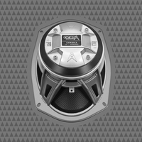 
              CICADA AUDIO CHX69 PRO COAXIAL SPEAKER 6X9" (2Ω AND 4Ω)
            