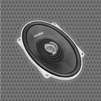 
              Cicada - CXX57.4 - High Performance Full-Range 5x7-inch Pro Coaxial - 4Ω
            