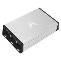 
              Cicada Audio BDA2000.4D Amplifier
            