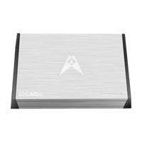 
              Cicada Audio BDA2000.4D Amplifier
            